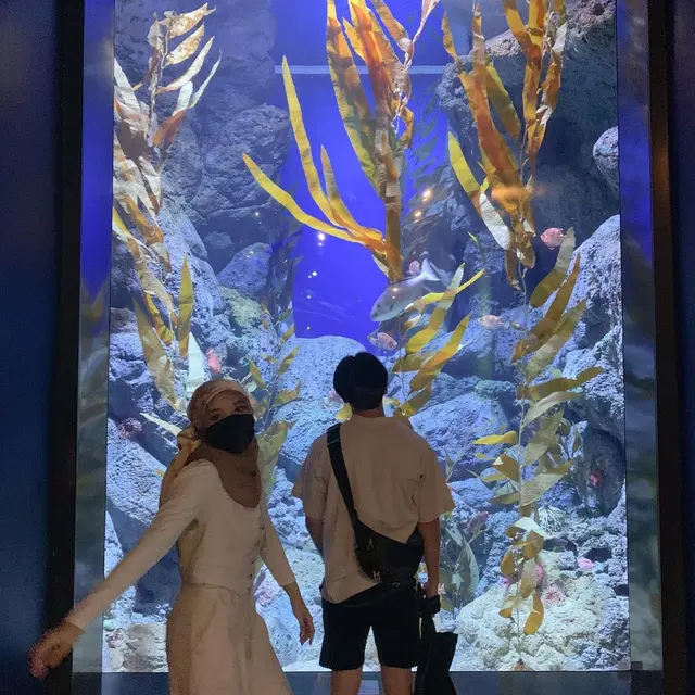 Putri Delina dan Jeffry Reksa di Singapura (Foto: Instagram @putridelinaa)