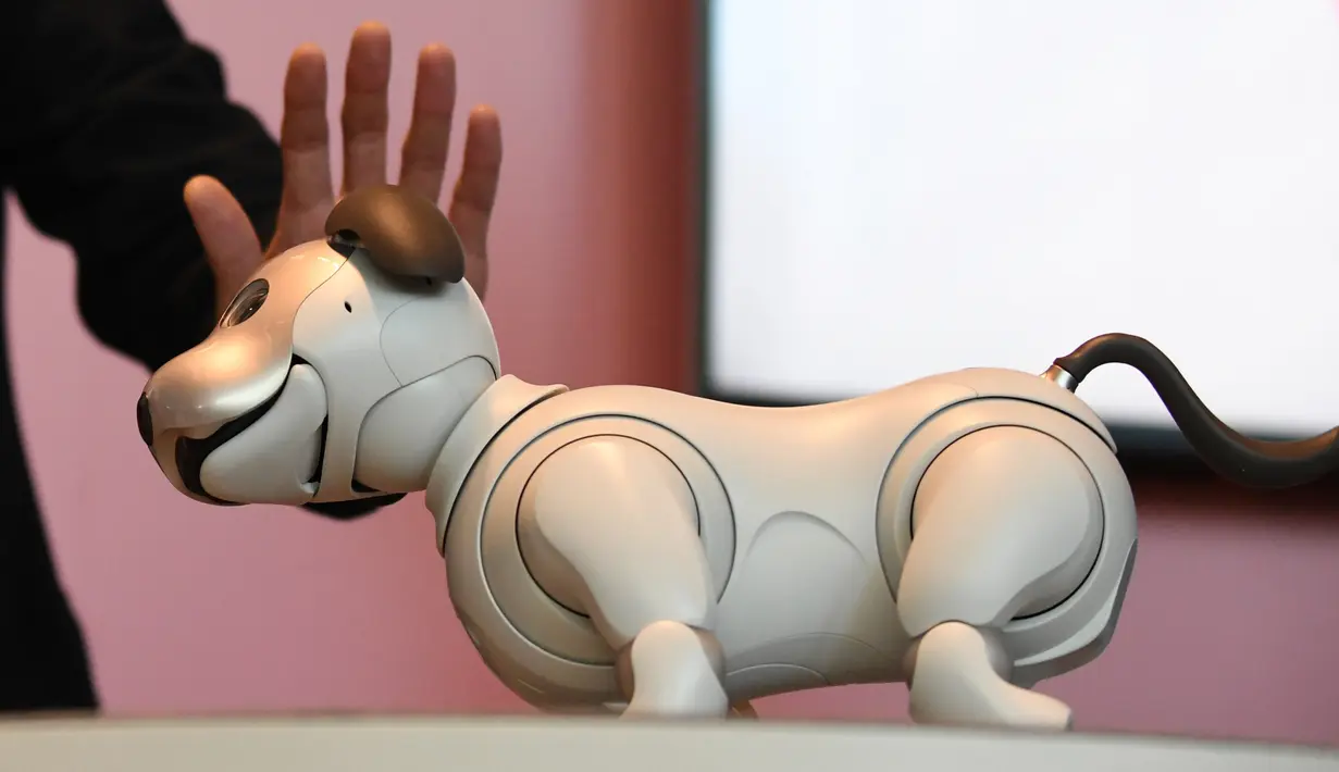 Seorang pemilik mengelus kepala robot anjing Aibo setalah upacara peresmiannya di Tokyo, Jepang (11/1). Setelah lama berhenti, Sony kembali memproduksi robot hewan peliharaan ikoniknya dengan model yang lebih baru. (AFP Photo/Kazuhiro Nogi)