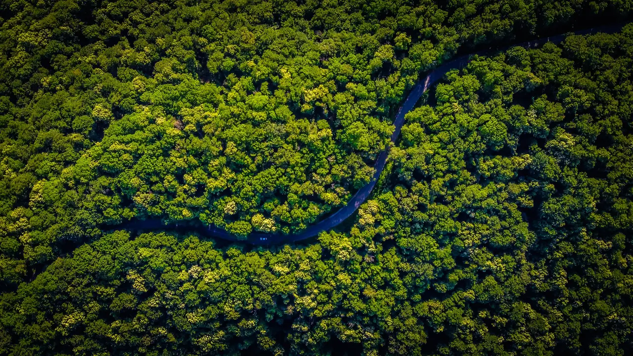 Dua Bocah yang Hilang Selama Sebulan Secara Ajaib Ditemukan di Hutan Amazon, Kurus Kering Hanya Mengandalkan Air Hujan