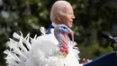 Joe Biden merayakan ulang tahunnya yang ke-81 sebagian dengan memberi pengampunan, bukan kepada manusia melainkan pada dua kalkun asal North Carolina, yang tahun ini selamat dari penyembelihan. (AP Photo/Andrew Harnik)
