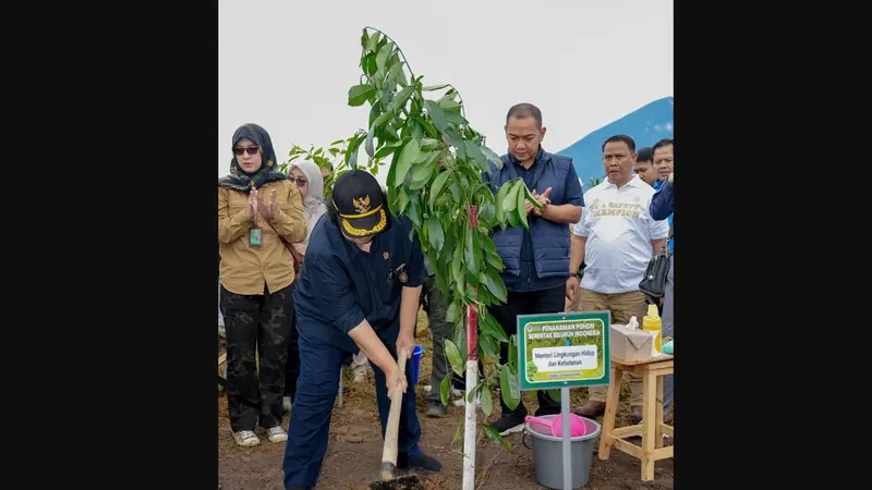 Kementerian Lingkungan Hidup dan Kehutanan (KLHK) kembali melakukan Penanaman Pohon Serentak di seluruh wilayah Indonesia pada Rabu (7/2/2024) dipimpin oleh Menteri LHK Siti Nurbaya bersama 635 peserta di Cianjur, Jawa Barat (Jabar).