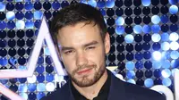 Liam Payne pada 2019. (Joel C Ryan/Invision/AP, File)