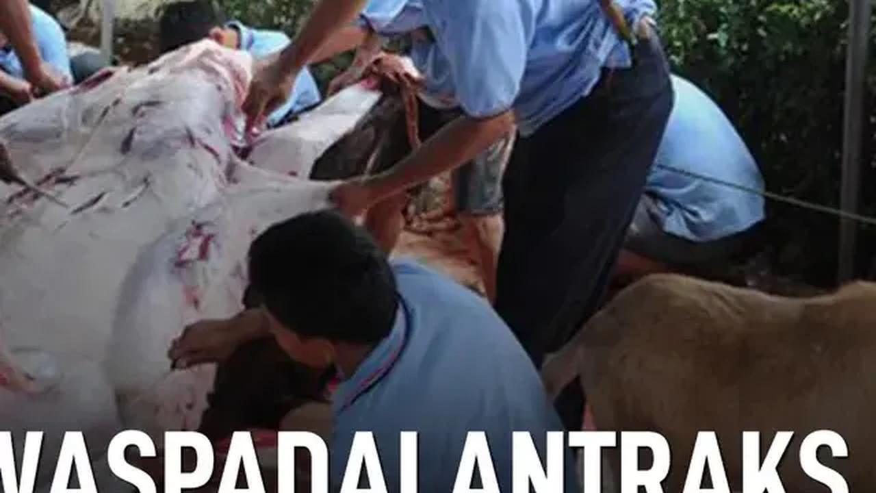 Yulius menyampaikan ini saat meninjau 1.200 ekor sapi yang melalui masa karantina di Instalasi Karantina Pertanian BKP Kupang. Seluruh ternak ini akan dikirim ke Kalimantan Timur, Kalimantan Selatan dan Kalimantan Barat.