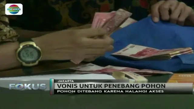 Tebang Pohon di Jakarta Tanpa Izin Kena Denda Rp 30 Juta