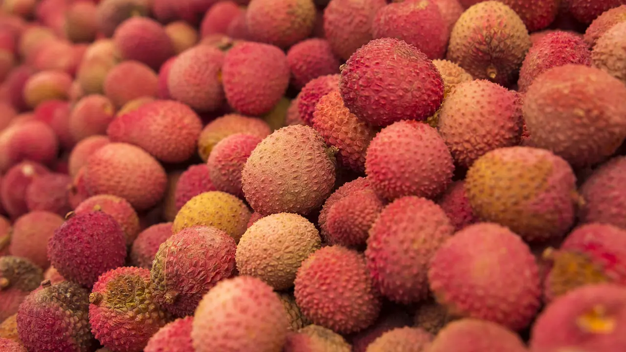 Ilustrasi buah leci