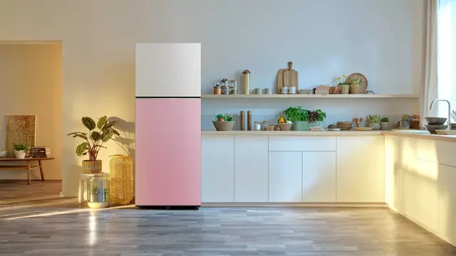 Kulkas Ungkep Samsung