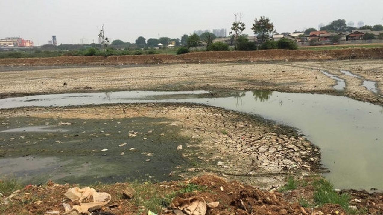 Kondisi Waduk Ria Rio yang kering kerontang akibat kemarau panjang