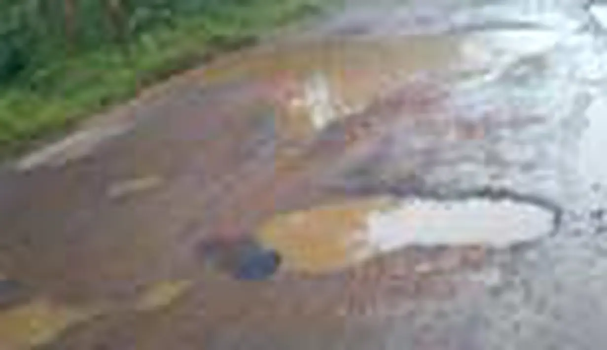 liputan6