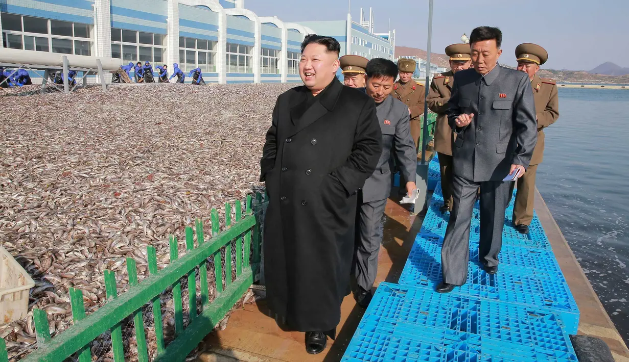 Pemimpin Korea Utara, Kim Jong-un mengunjungi stasiun perikanan di Pyongyang, Kamis (17/11). Kunjungan ini dilakukan karena hasil tangkapan ikan yang melebihi perkiraan. (REUTERS/KCNA)