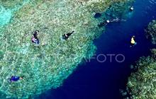 Program Konservasi Terumbu Karang Indonesia-AS Tetap Berjalan di Tengah Pemangkasan Anggaran
