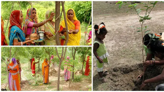 (c) lostateminor.com