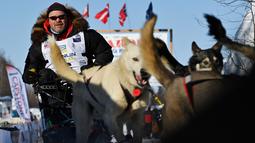 Aaron Burmeister dan timnya meninggalkan garis start Iditarod Sled Dog Race di Deshka Landing di Willow, Alaska, Minggu (7/3/2021). Tim anjing yang dipimpin oleh para pengemudi yang dikenal sebagai mushers berlari melintasi jalan-jalan bersalju. (Marc Lester/Anchorage Daily News via AP)