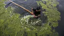 Seorang pekerja membersihkan ganggang di kolam Kamal Pokhari di Kathmandu, Nepal, Selasa (27/7/2021). Kolam Kamal Pokhari merupakan salah satu kolam tertua dan bersejarah yang sedang menjalani restorasi. (AP Photo/Niranjan Shrestha)