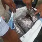 Dua karung ganja sintetis ditemukan di Bogor. (Liputan6.com/Achmad Sudarno)