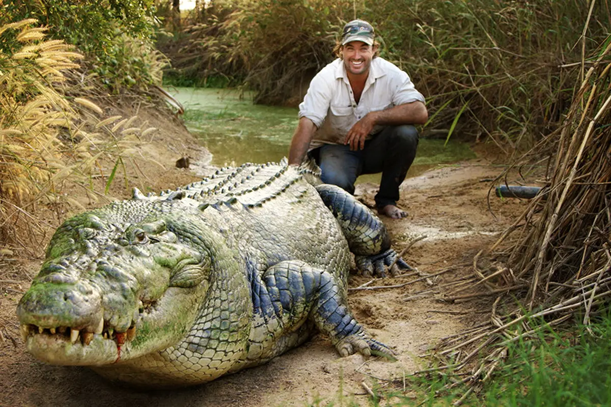 Ikut Selamatkan Buaya Berkalung Ban, Ini 4 Fakta Sosok Presenter National Geographic