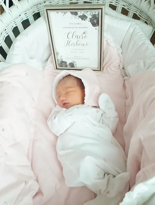 (Instagram/shandyaulia)