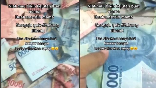 Viral Tabungan Umroh Rp 50 Juta untuk Ibunda Dimakan Rayap