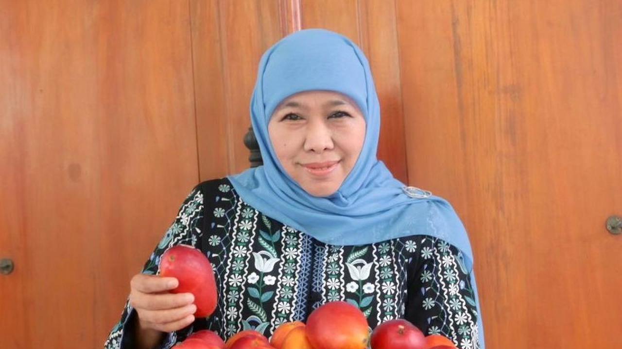 Musim Panen