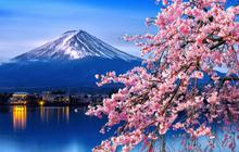 12 Tempat Wisata di Jepang Paling Populer, Rekomendasi Terbaik Liburan Bareng Keluarga