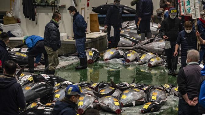 Deretan tuna sirip biru terlihat saat para tengkulak berpartisipasi dalam lelang di Pasar Toyosu, Tokyo, Jepang, 5 Januari 2021. Lelang tuna Tahun Baru tahunan berakhir tanpa perang penawaran yang mencengangkan. (Philip FONG/AFP)