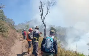 Kebakaran Bromo Tidak Terbendung Capai 125 Hektare