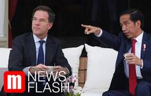 VIDEO: Jokowi Gandeng Belanda Dorong Industri Kelapa Sawit
