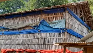 Bikin Bau Permukiman, Peternakan Ayam di Sukabumi Ditutup
