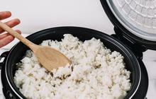 Cara Ampuh Mengatasi Nasi Kering di Rice Cooker yang Belum Banyak Diketahui