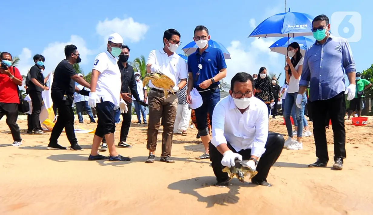 Direktur Utama PT Bank Tabungan Negara (Persero) Tbk. Haru Koesmahargyo saat melepas tukik di pantai Nusa Dua, Denpasar Sabtu (10/4/2021). Bank BTN memberikan bantuan CSR untuk mendukung program konservasi terumbu karang dengan  pengembangan 710 terumbu karang. (Liputan6.com/Pool/BTN)