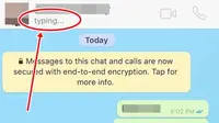 Cara Lenyapkan Status Typing di WhatsApp