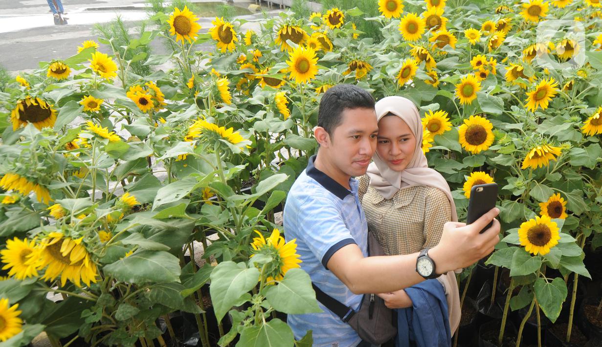 FOTO: Taman Bunga Matahari di Atap Gedung - Lifestyle ...