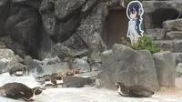 Penguin Grape-kun. (twitter/tobuzoo7)