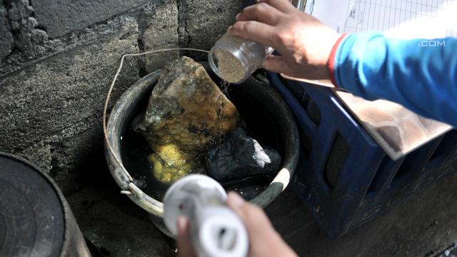 Pemeriksaan Jentik Nyamuk