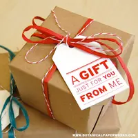 Bungkus kado Natal nggak selalu pakai kertas kado yang indah. Coba pakai kertas berikut ini. (Via: botanicalpaperworks.com)