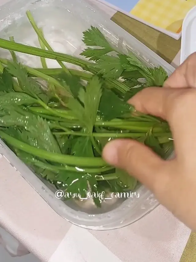 Tanpa Disimpan di Freezer, Ini Cara Agar Seledri Tetap Segar dan Wangi Sampai Sebulan