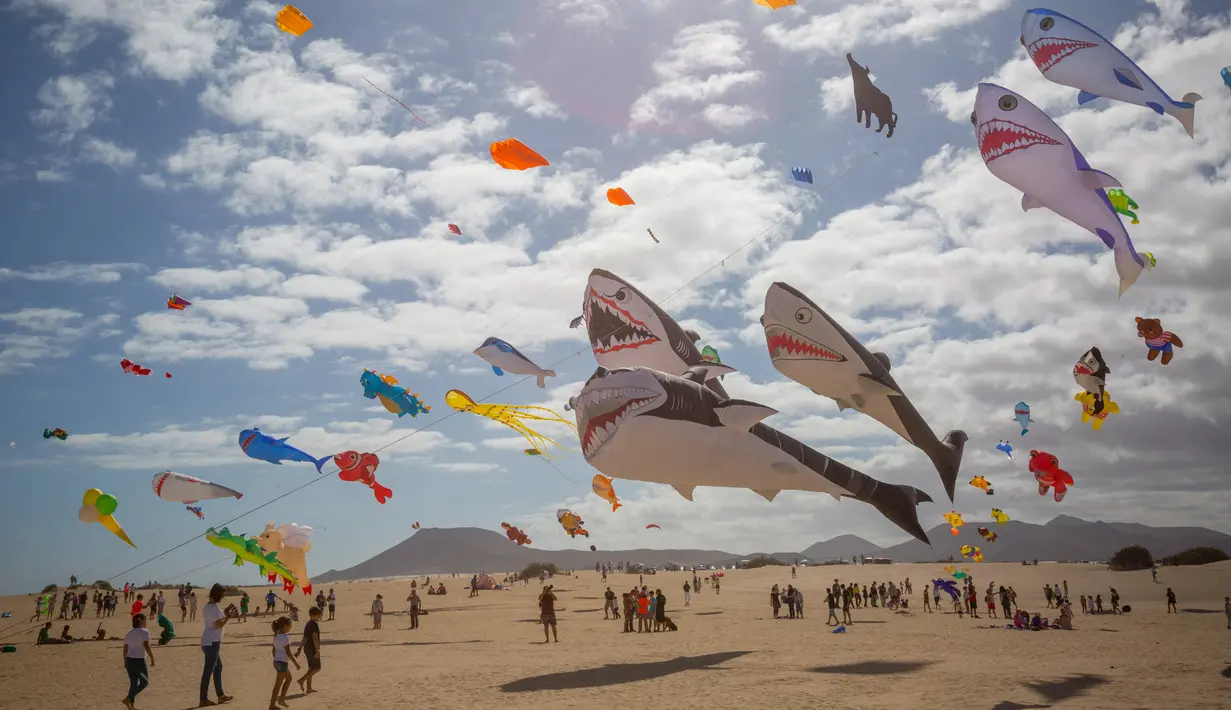 Layang-layang berbentuk hiu terbang selama Festival Layang-layang Internasional di Fuerteventura, kepulauan Canary, Spanyol, 10 November 2018. Festival diikuti 45 penerbang layang-layang profesional dan amatir dari delapan negara. (DESIREE MARTIN/AFP)