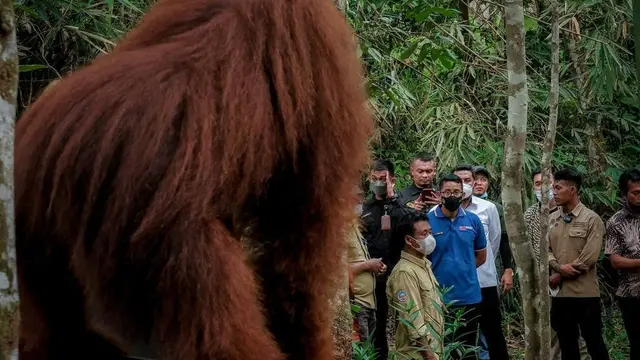 Kunjungan Sandiaga Uno ke Bukit Lawang, Kabupaten Langkat, Sumatra Utara.
