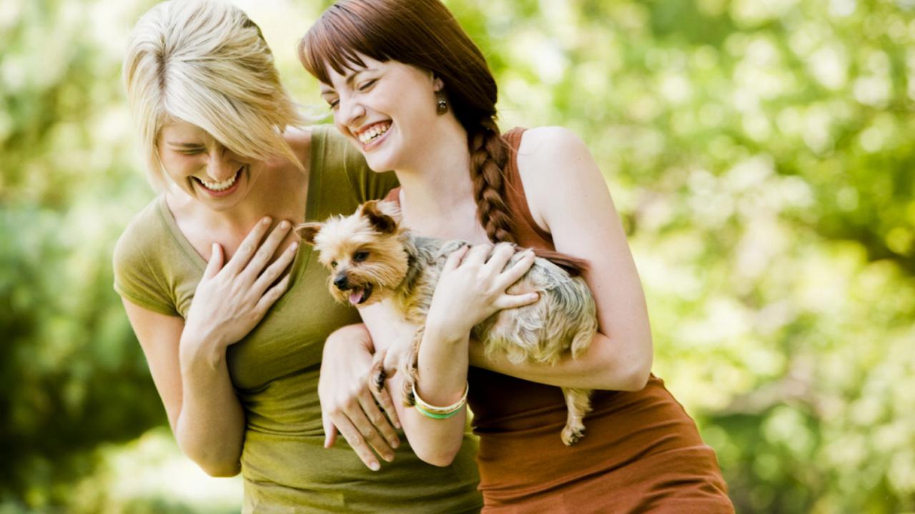 12 Cara Tingkatkan Kesehatan dalam 60 Detik