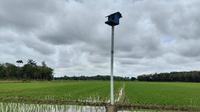 Bantuan 1.000 ekor burung hantu untuk bantu basmi hama tikus. (Foto: Kementerian PU)