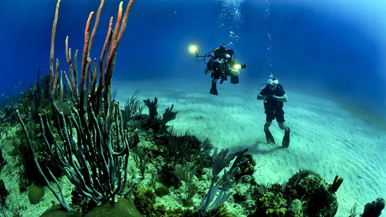 Pelajaran dari Terumbu Karang Karimunjawa