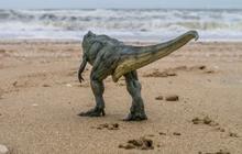 Ilmuwan Temukan Seni Cadas Kuno 9.000 Tahun Lalu Ungkap Hubungan Manusia Prasejarah dengan Dinosaurus