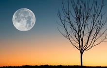Nikmati Fenomena Indah Bulan Purnama Terakhir di 2024 "Cold Moon", Catat Tanggalnya
