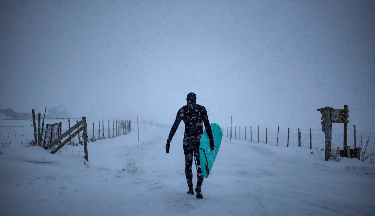 Seorang surfer atau peselancar berjalan keluar dari air membawa papannya di bawah hujan salju di Unstad, Norwegia Utara (11/3). (AFP Photo/Olivier Morin)