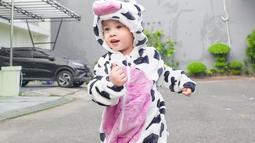 Foto-foto Gala memakai kostum sapi ini dibagikan lewat postingan instagram aunty nya, Fuji.(instagram.com @fuji_an)