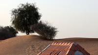 Pintu masuk sebuah rumah setengah terkubur di gurun pasir, di desa terlantar Al-Madam, berbatasan dengan Emirat Teluk Sharjah, Kamis (22/4/2021). Badai pasir yang sering terjadi di area itu menghantam pemukiman hingga memenuhi rumah dengan timbunan pasir hingga ke langit-langit (GIUSEPPE CACACE/AFP