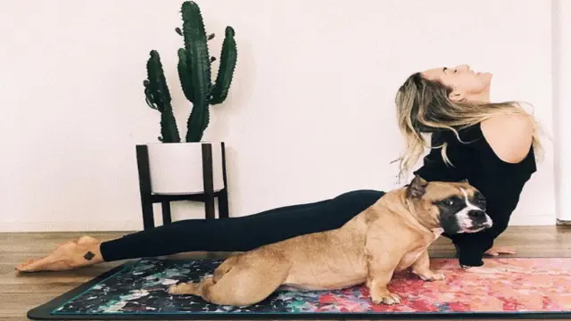 Anjing yang mirip dengan hewan peliharaannya.