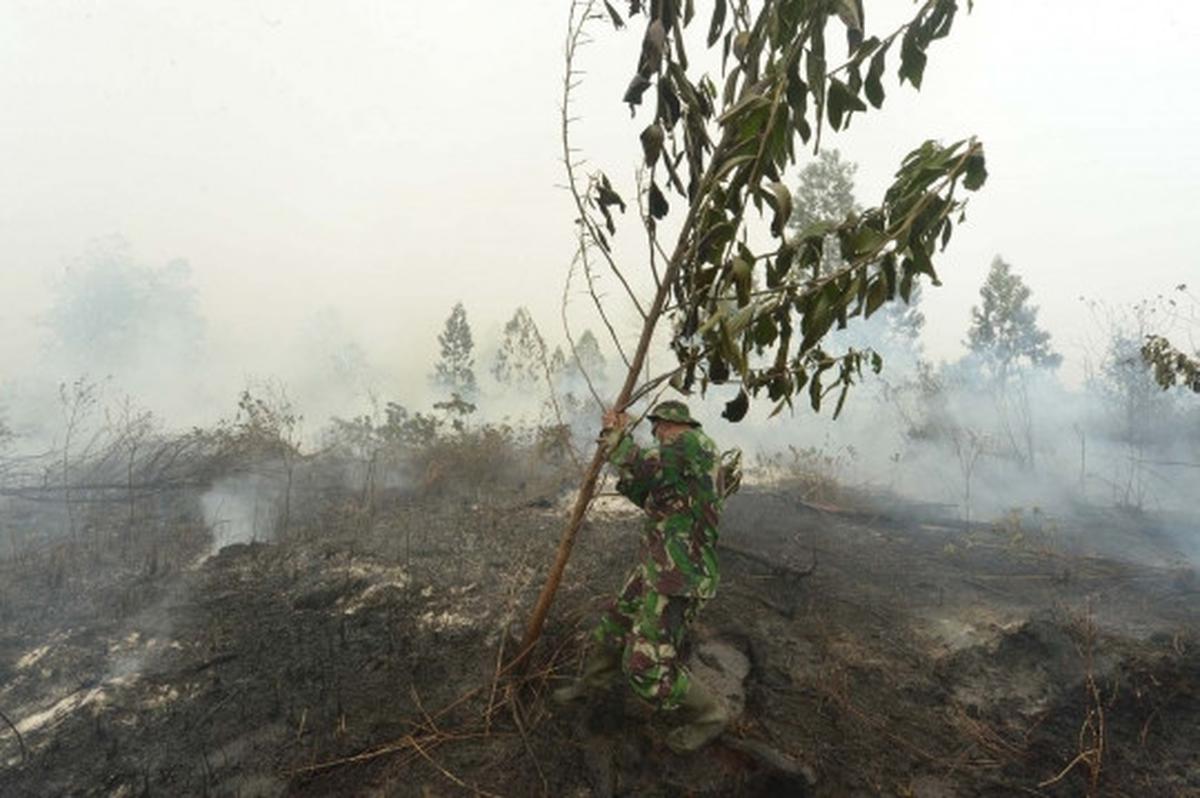Aksi tim gabungan terobos asap tebal padamkan kebakaran hutan Riau