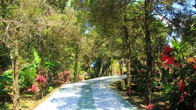 Makam Sam Ratulangi