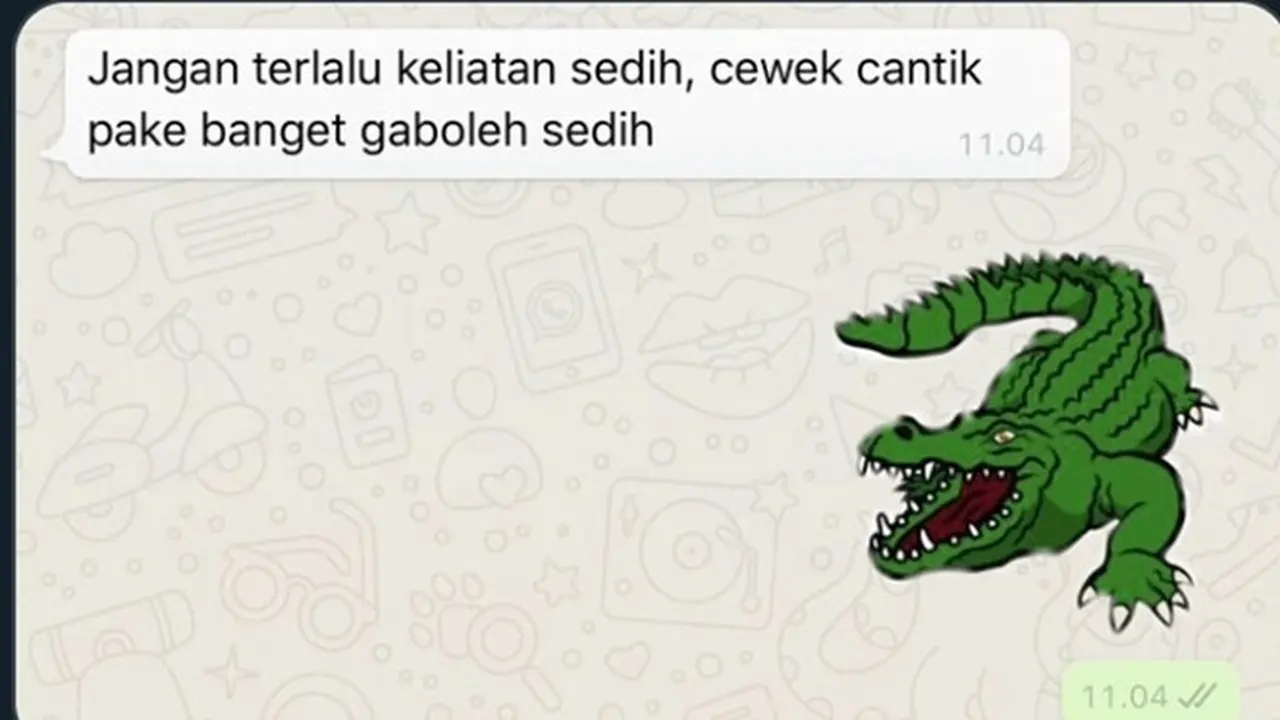 6 Chat dari 'Buaya Darat' Ini Bikin Cewek Baper Sekaligus Ketawa Geli