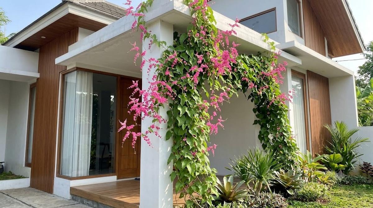 Bunga Air Mata Pengantin di Tiang Rumah (AI Generated)